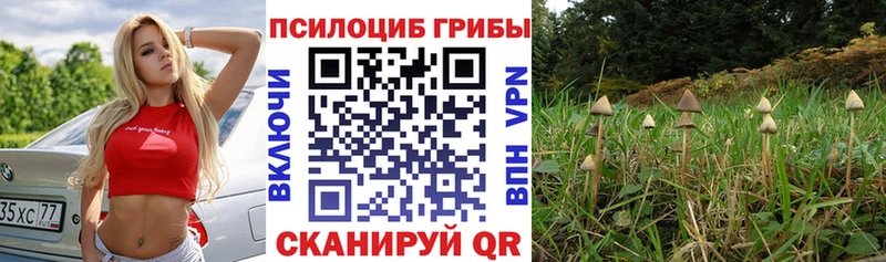 ОМГ ОМГ ТОР  даркнет сайт  Стародуб  Галлюциногенные грибы ЛСД 